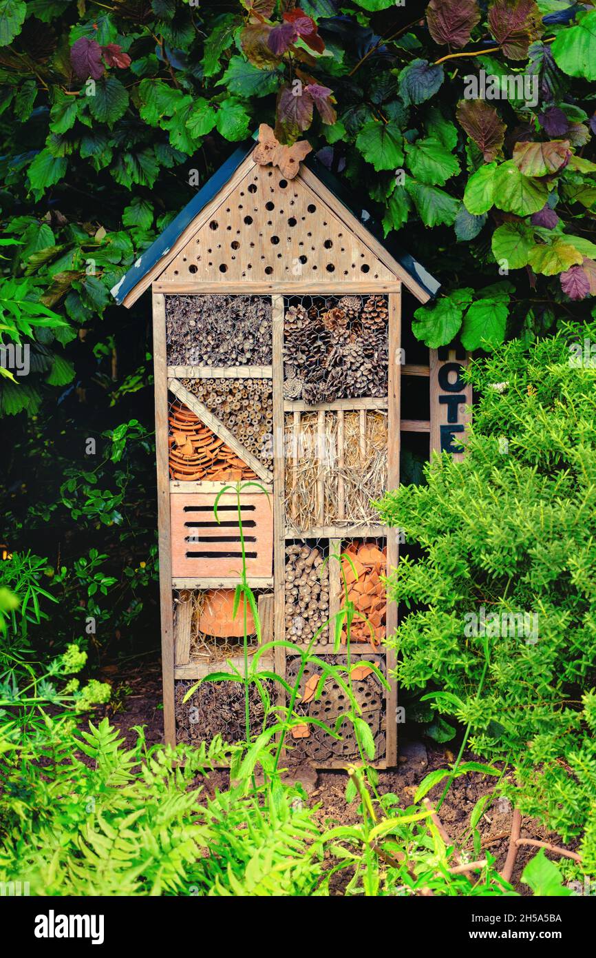 wooden hand made bug hotel for insects, bees and butterflies Stock Photo