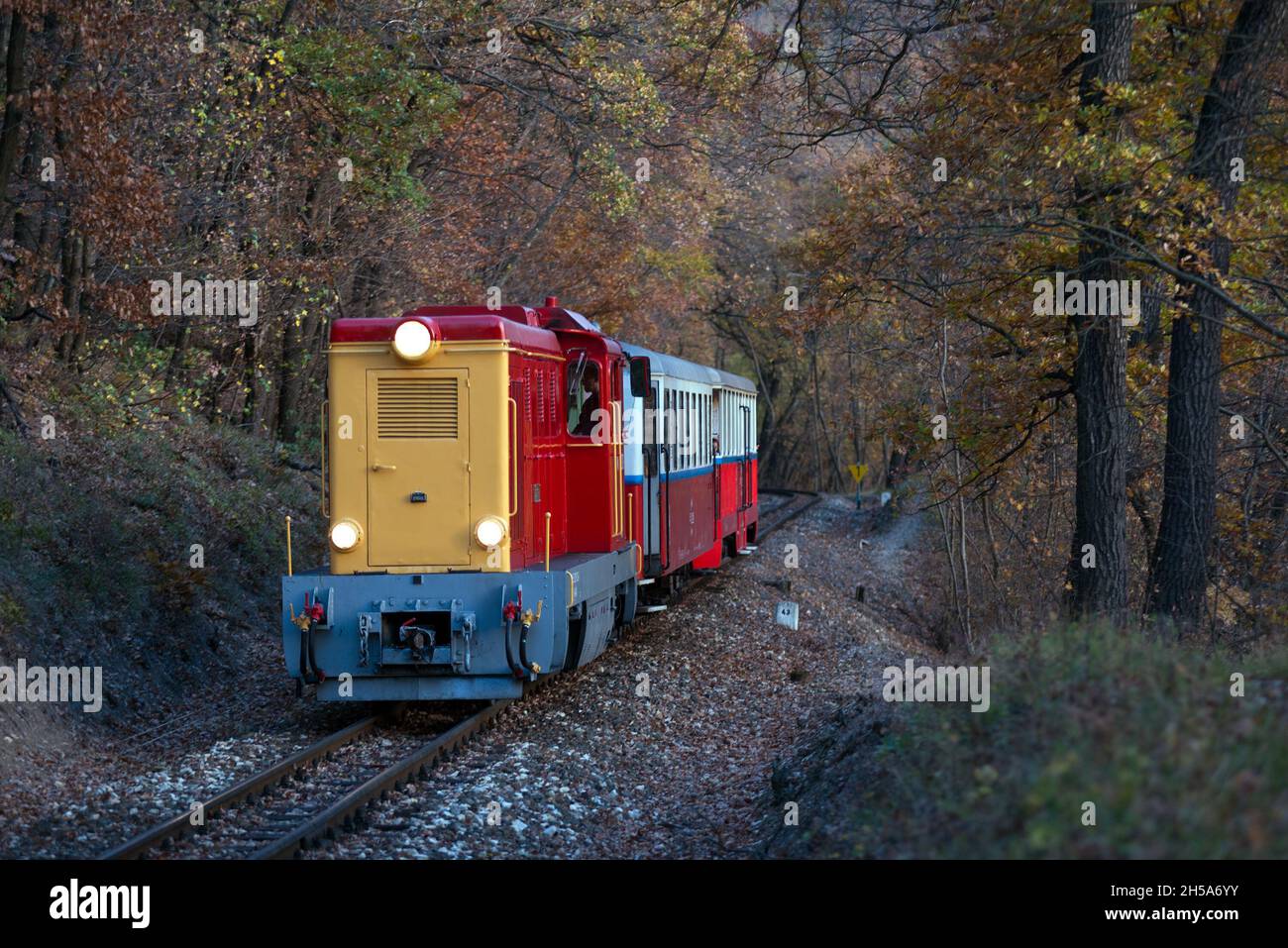 Budapest Children's Railway (Gyermekvasút) train in the forest Stock