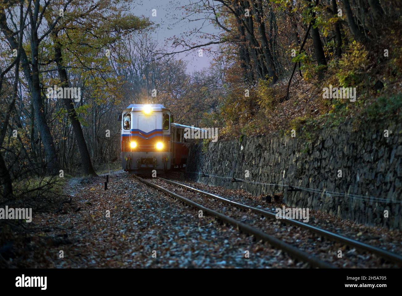 Budapest Children's Railway (Gyermekvasút) train in the forest Stock