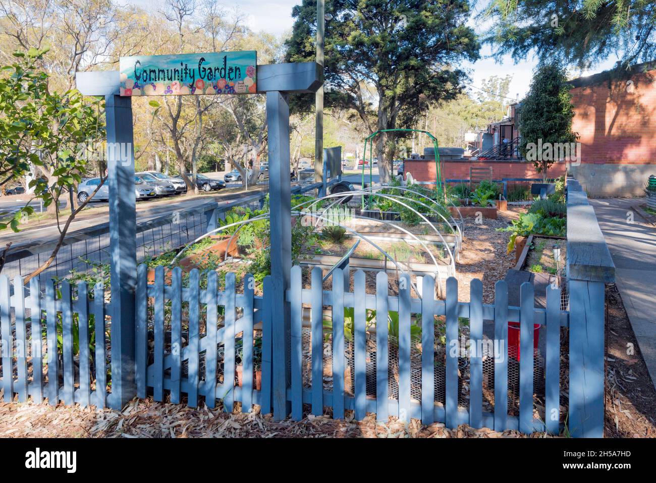 Run by locals and supported by Kur-ing-gai Council, this community garden in West Pymble, Sydney provides a food source, education and a meeting point Stock Photo