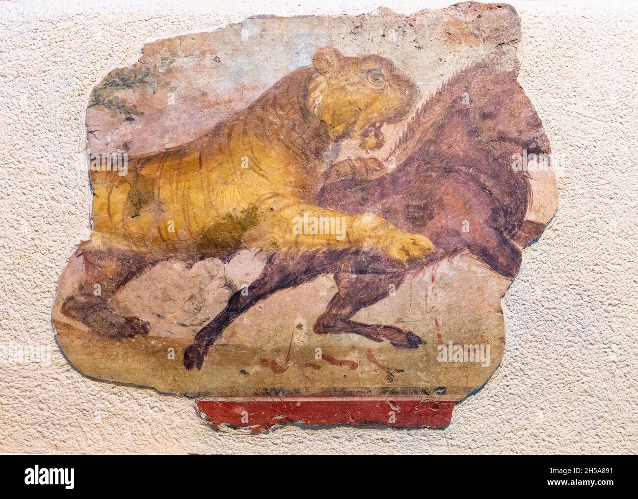 Detail of a Roman mural of a lion attacking a horse.  Museo Nacional de Arte Romano (National Museum of Roman Art), Merida, Badajoz Province, Extremad Stock Photo