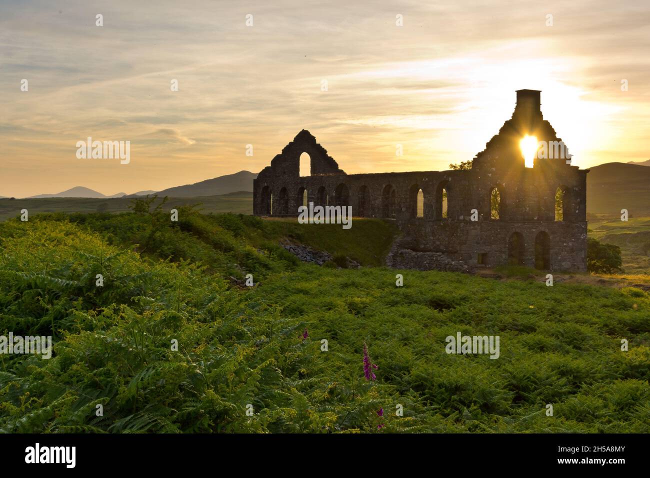 The long abandoned Ynys-y-pandy Slate Mill, Pont-y-Pandy, North wales Stock Photo