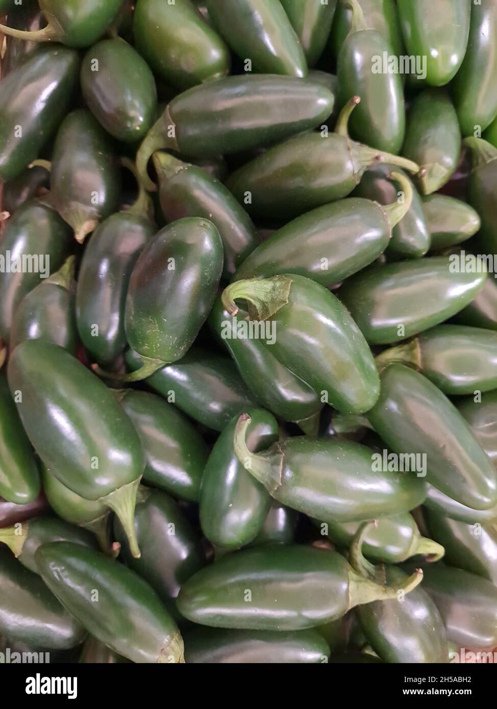 Green jalapeños on display in a supermarket. Backgrounds and textures, pattern. It is a very spicy pepper from a variety of Capsicum annuum. Stock Photo