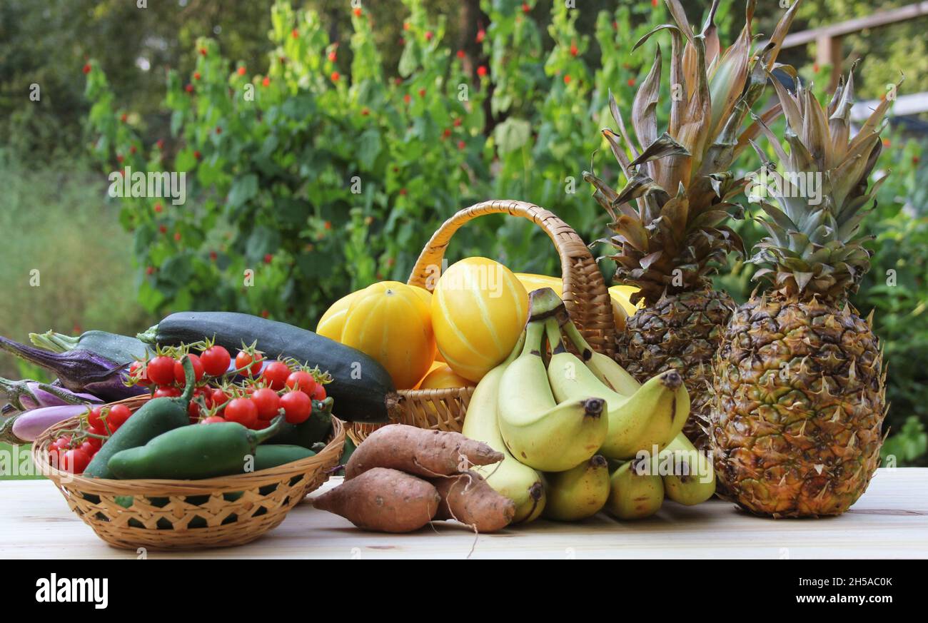 Summer Vegetable Harvest Ginkaku Korean Melons with Pineapple