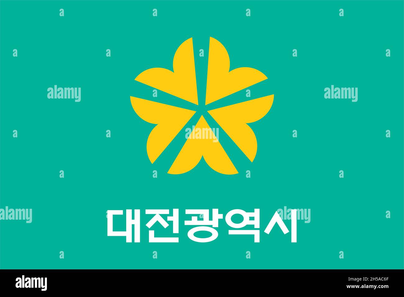 Top view of flag Daejeon, south korea. korean travel and patriot concept. no flagpole. Plane design layout. Flag background Stock Photo