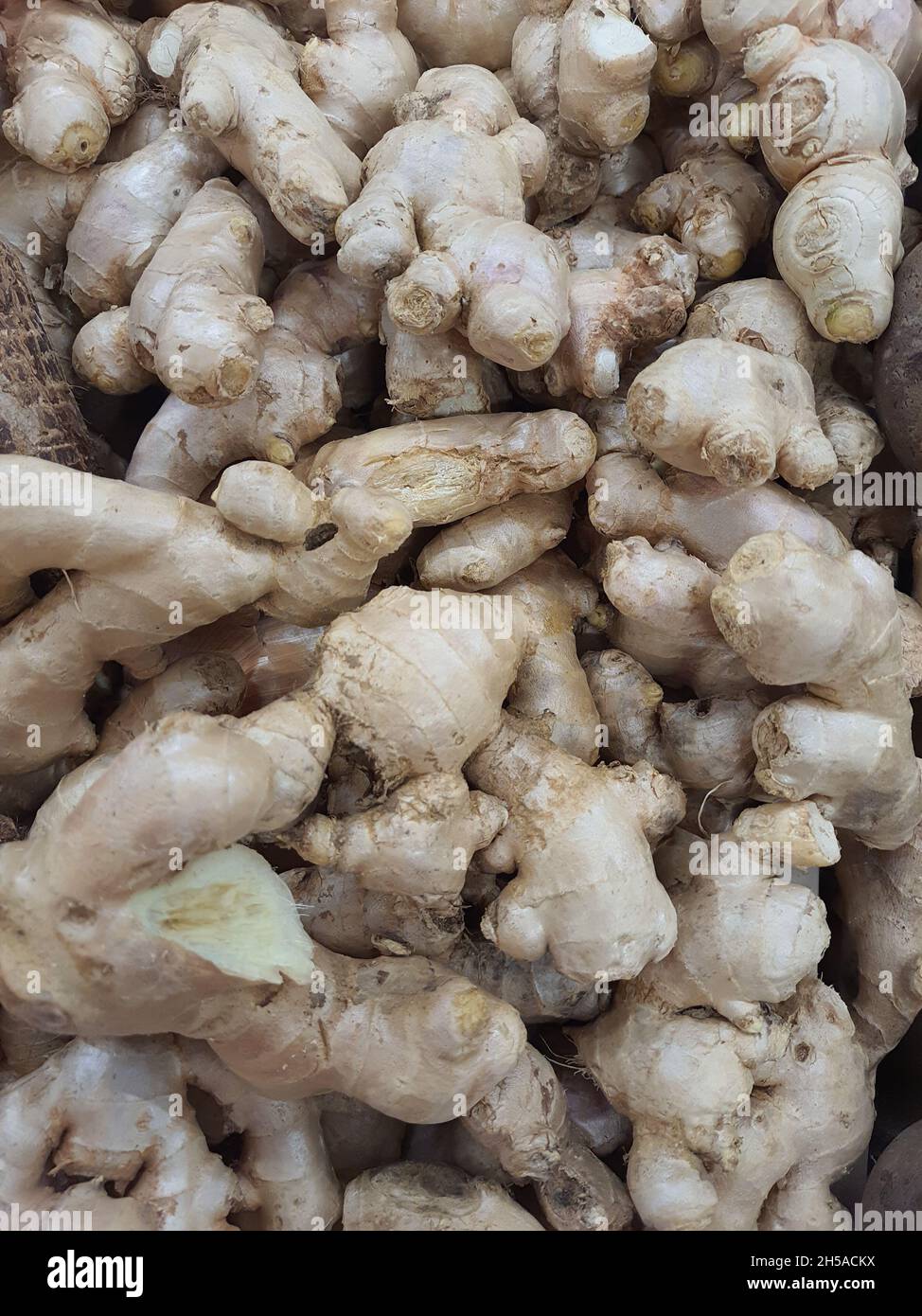 Gingers (Zingiber officinale) in a market. Stock Photo