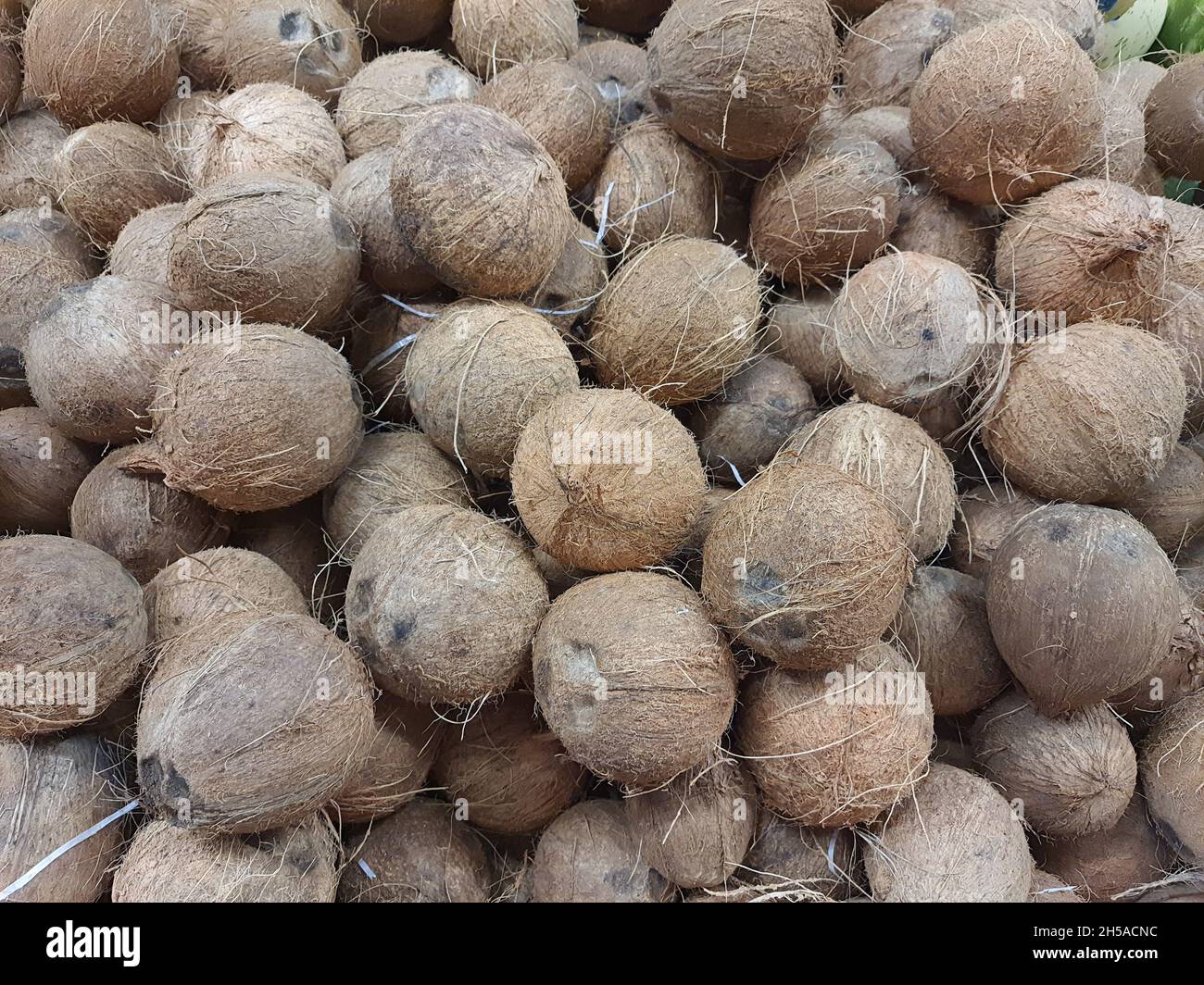 Coconuts Many coconuts piled up in a market, full screen Stock Photo