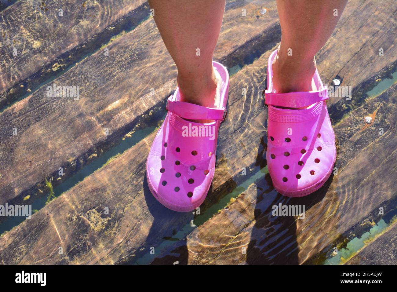 Pink rubber sandals in crystal clear water on wood Stock Photo - Alamy