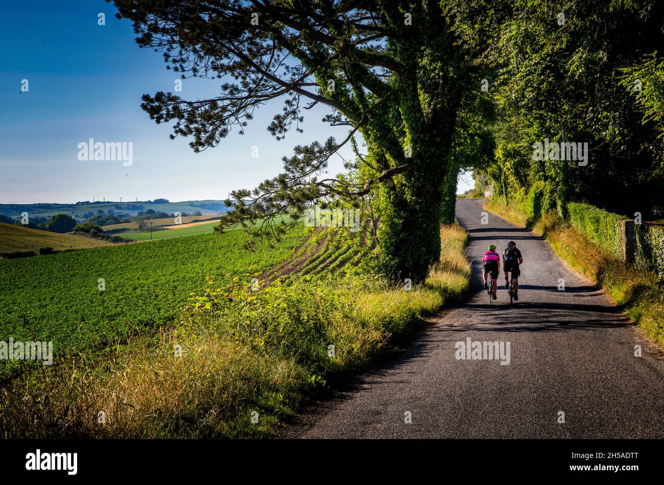 Cycling on a country road beside Scrabo Country Park, Newtownards, County Down, Northern Ireland Stock Photo