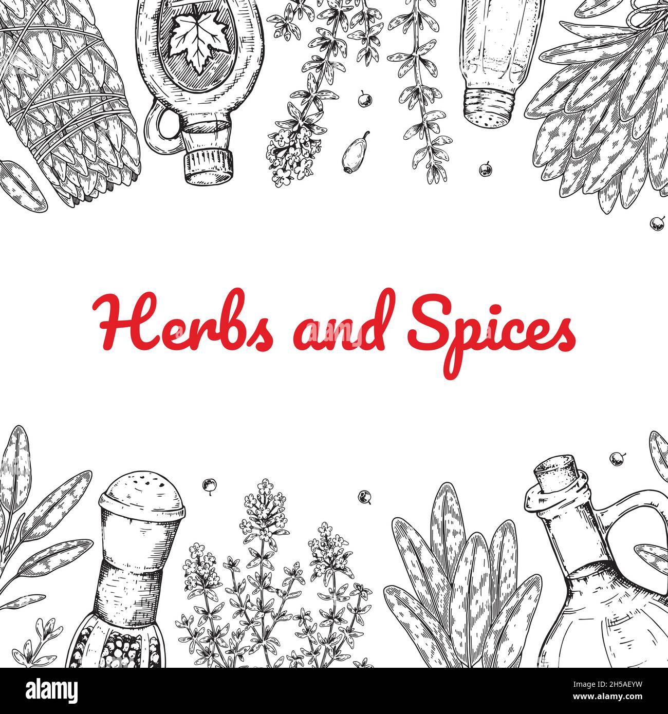 Hand drawn herbs and spices design. Vector illustration Stock Vector