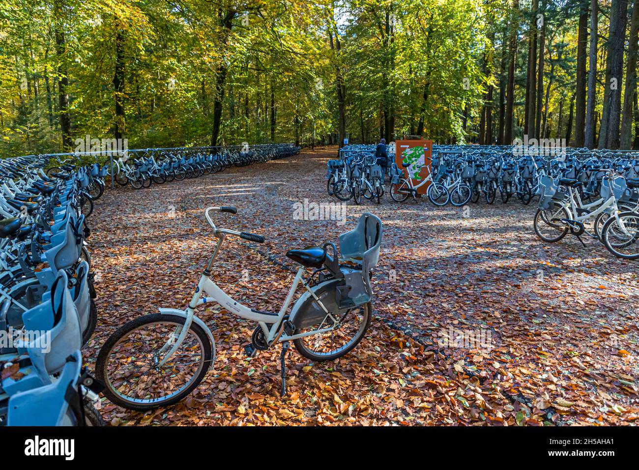 Bike station with free white bikes in the Nationalpark De Hoge Veluwe in Hoenderloo, Netherlands Stock Photo