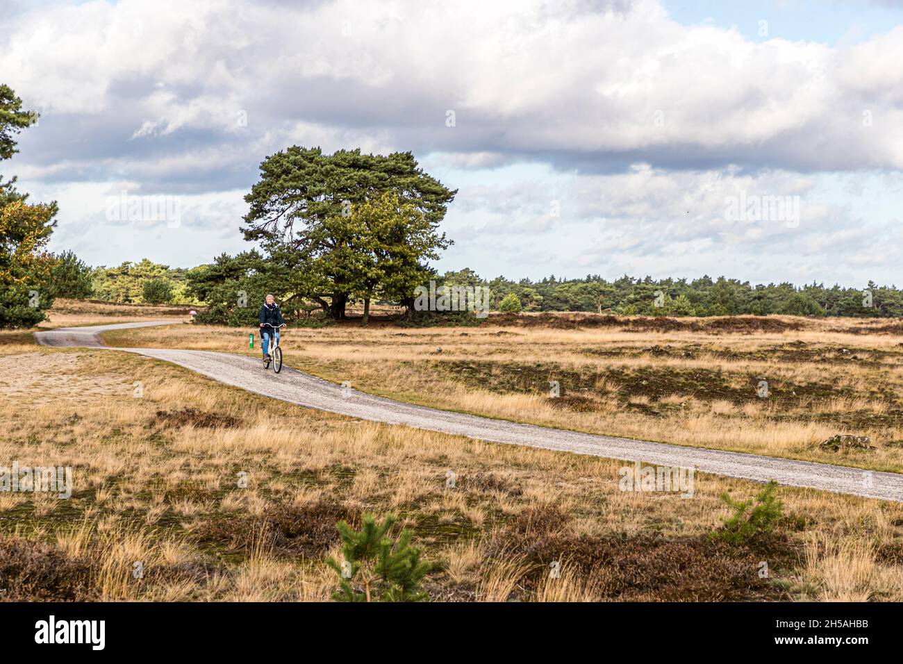 By rental bike through the National Park De Hoge Veluwe in Otterlo, Netherlands Stock Photo