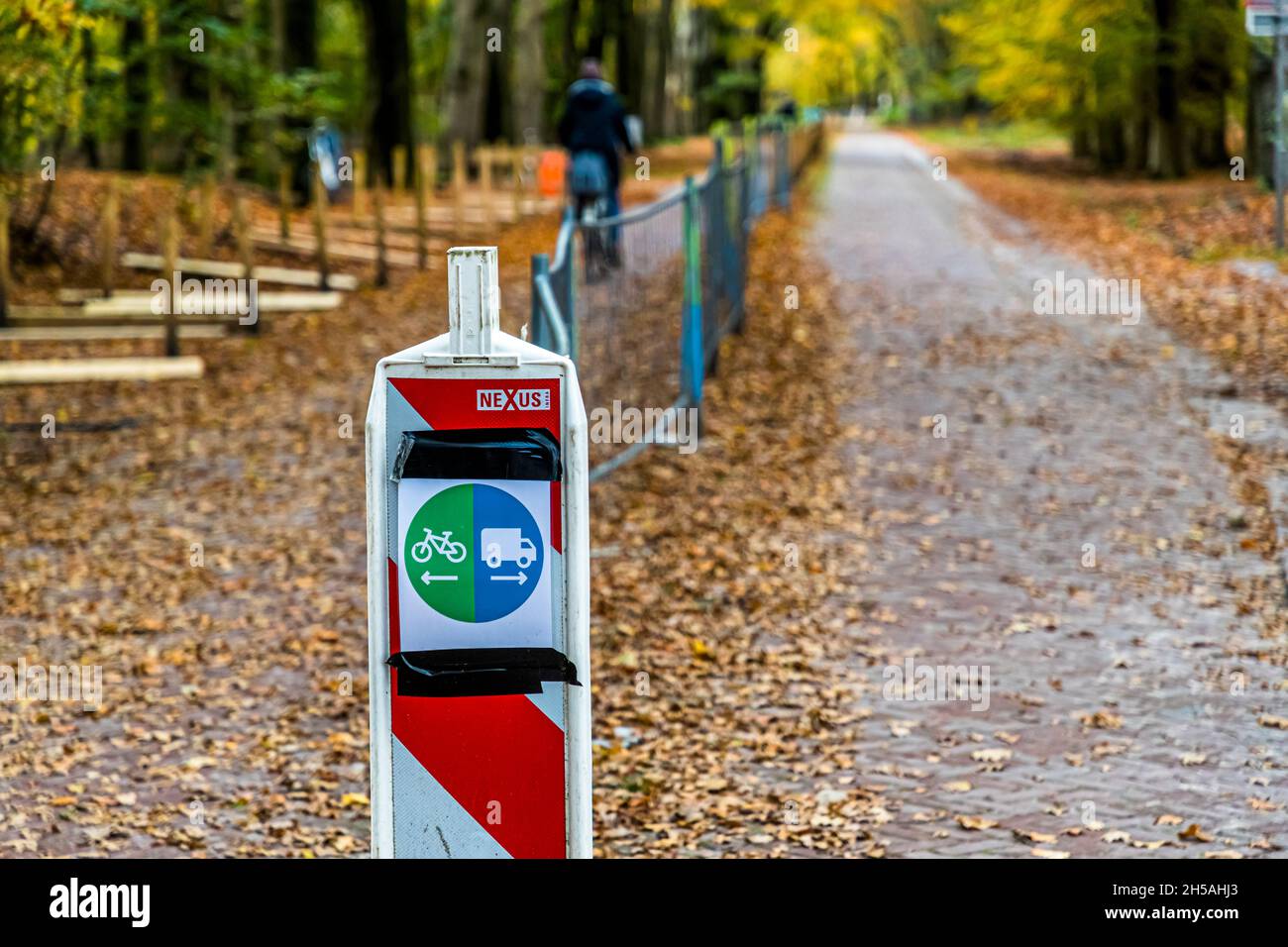 Separate lanes for motor vehicles and bicycles  in the Nationalpark De Hoge Veluwe in Otterlo, Netherlands Stock Photo