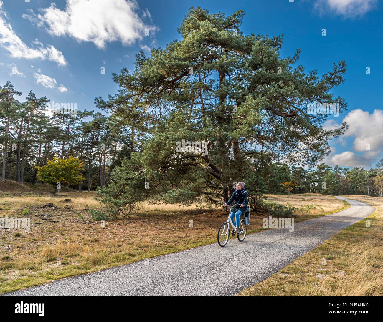 In the Hoge Veluwe National Park: endless expanses and smart bike paths in a varied landscape. National Park De Hoge Veluwe in Otterlo, Netherlands Stock Photo