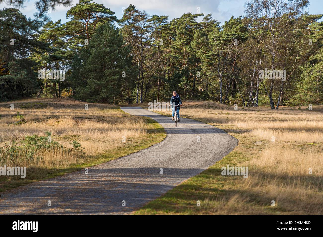 In the Hoge Veluwe National Park: endless expanses and smart bike paths in a varied landscape. National Park De Hoge Veluwe in Otterlo, Netherlands Stock Photo