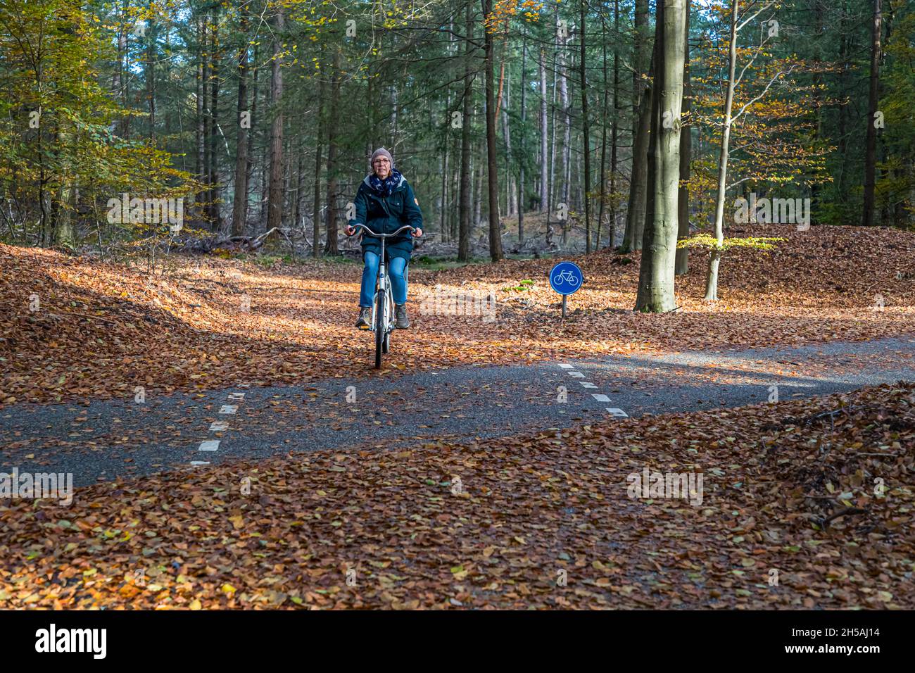 Nationalpark De Hoge Veluwe in Hoenderloo, Netherlands Stock Photo