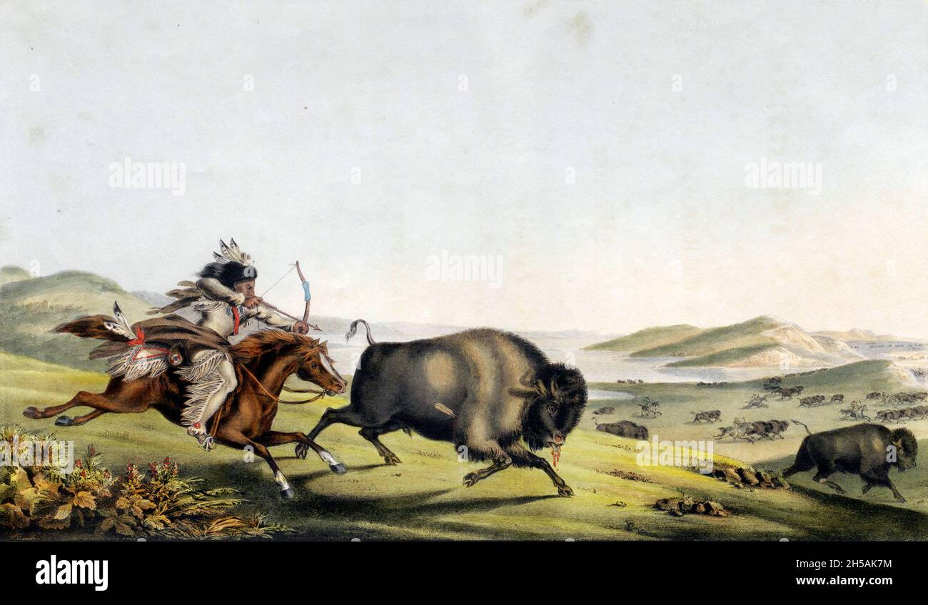 Hunting the Buffalo by a native American from the book ' History of the Indian Tribes of North America with biographical sketches and anecdotes of the principal chiefs. ' Volume 2 of 3 by Thomas Loraine, McKenney, and James Hall Esq. Published in 1842 Painted by Charles Bird King Stock Photo