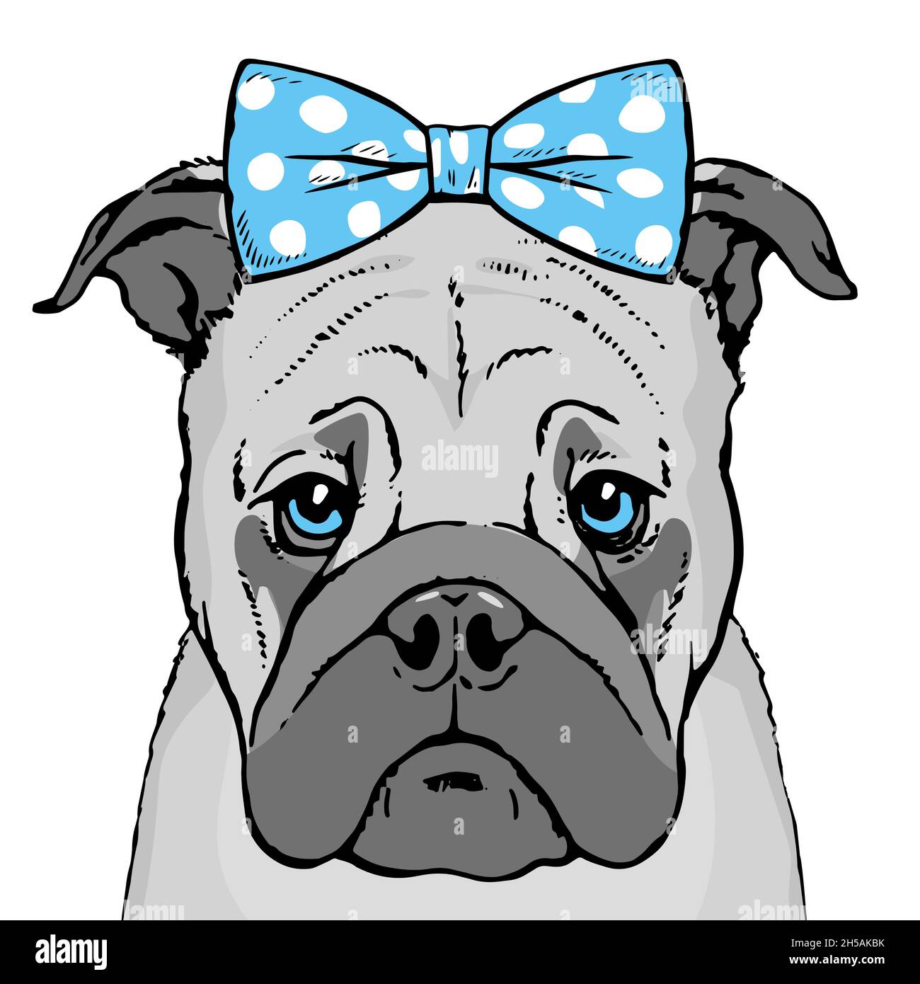 Drawn portrait of a pug dog face. Pet cute. There is a blue bow on the head. Vector isolated illustration pop art Stock Vector Image & Art - Alamy Drawn portrait of a pug dog face. Pet cute. There is a blue bow on the head. Vector isolated illustration pop art Stock Vector Image & Art - Alamy
