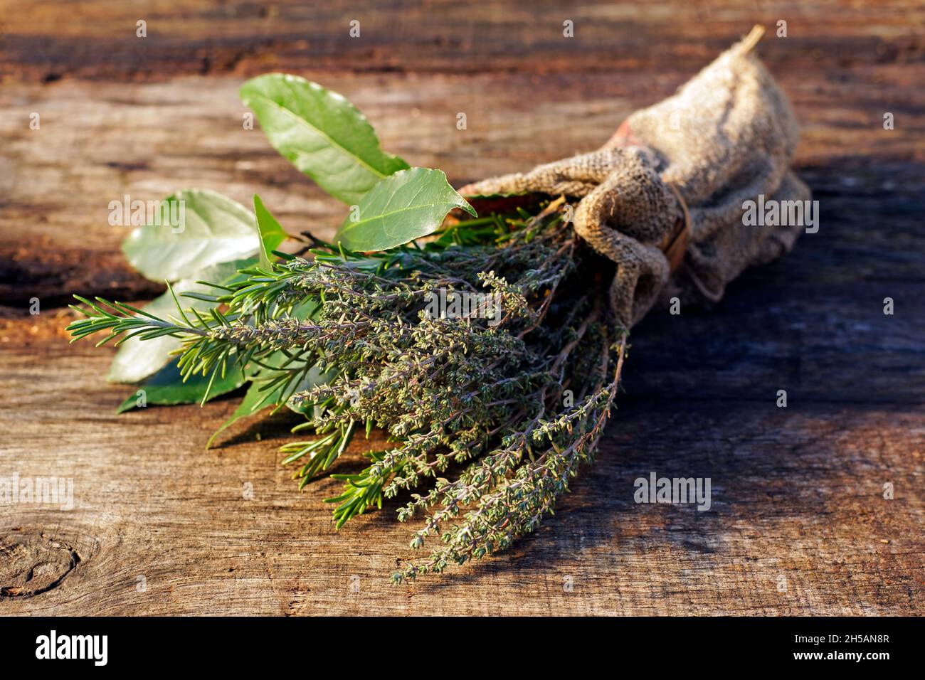 Thyme, rosemary and bay leaves from the garden (Suzanne garden, Mayenne