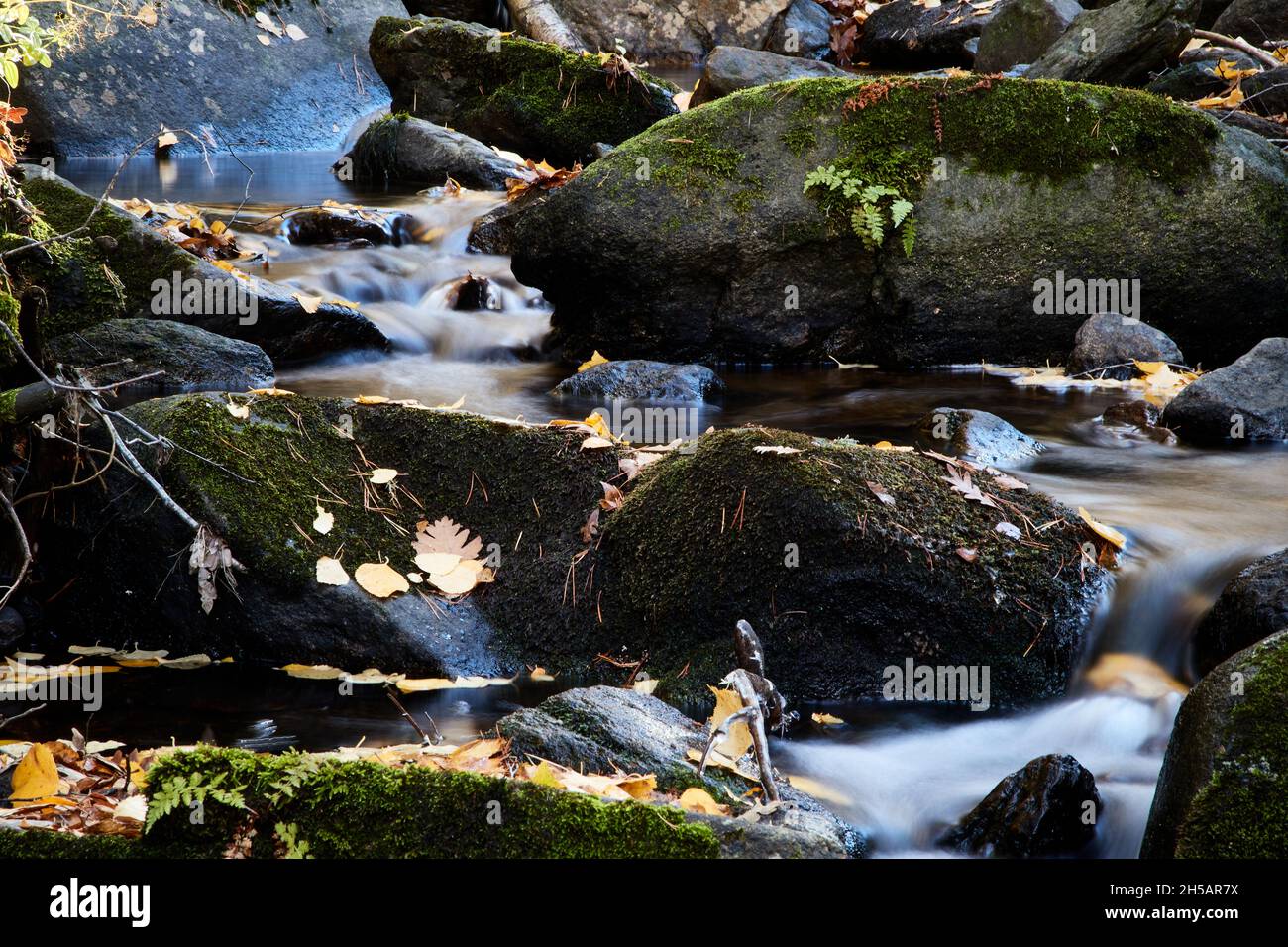 Crystal clear water flows down hi-res stock photography and images - Alamy
