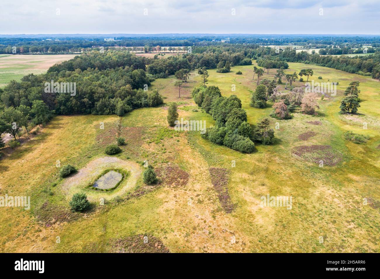 Aerial view of dry and wet heath, grassland and trees in nature reserve Brecklenkampse Veld during the dry summer of 2019, Lattrop, Overijssel, The Ne Stock Photo