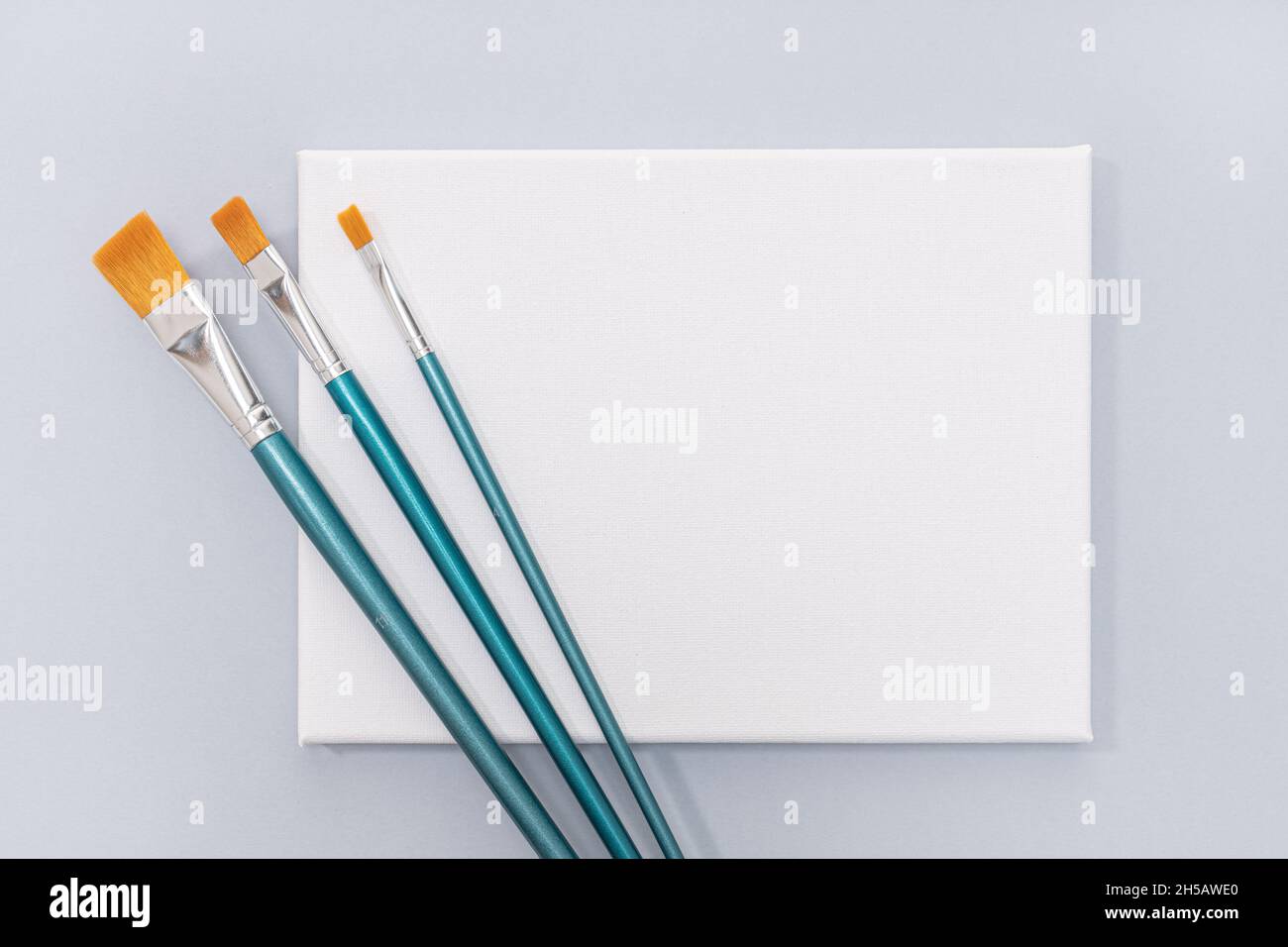 Blank White canvas and paint brushes isolated on gray background. Template, mock up Stock Photo