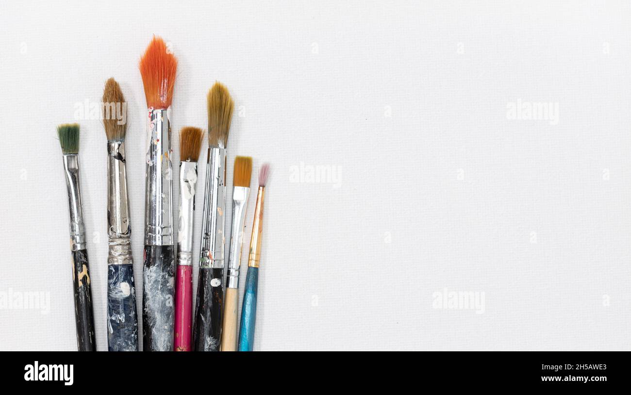 Group of artist brushes on white canvas background. Copy space Stock Photo