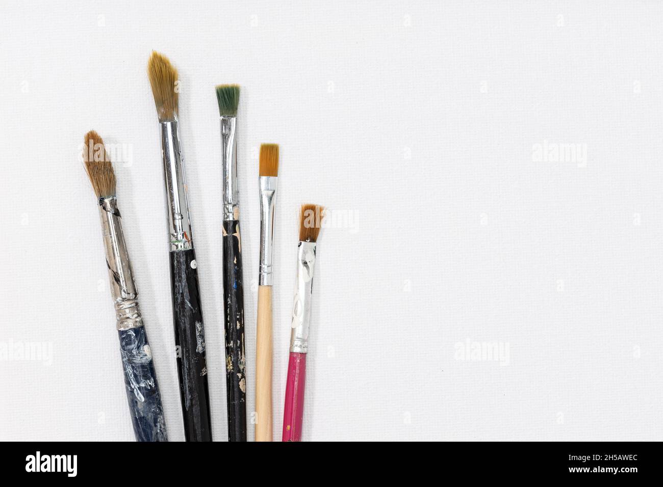 Group of paintbrushes on white canvas background. Copy space Stock Photo
