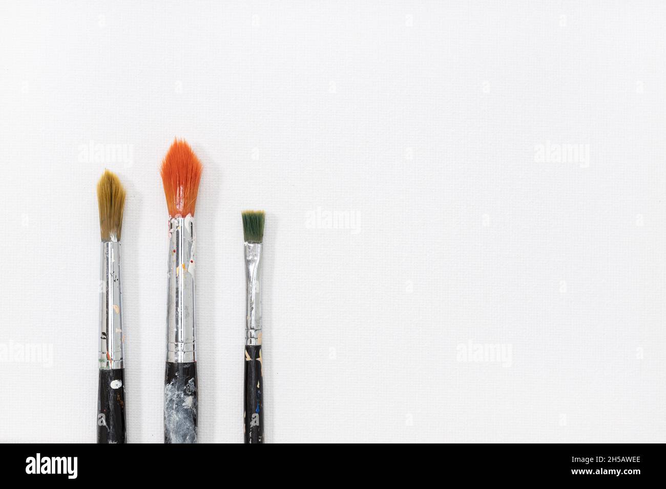 Three paintbrushes on white canvas background. Copy space Stock Photo