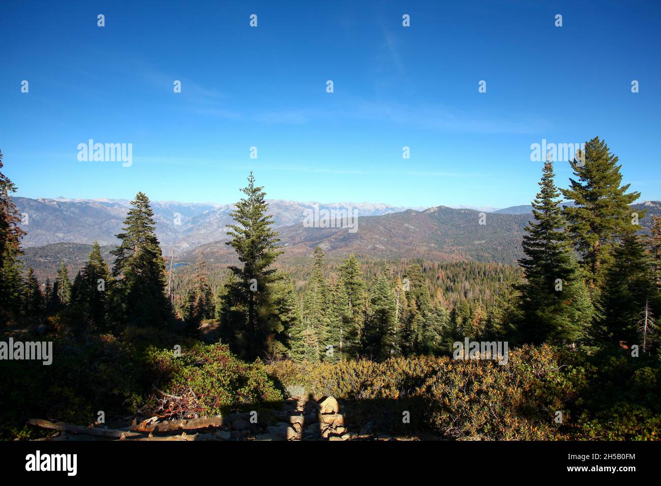 Sequoia and Kings National Park, California, USA Stock Photo