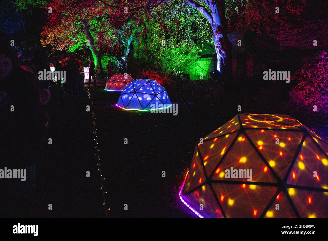 art in the park 2021 sheffield