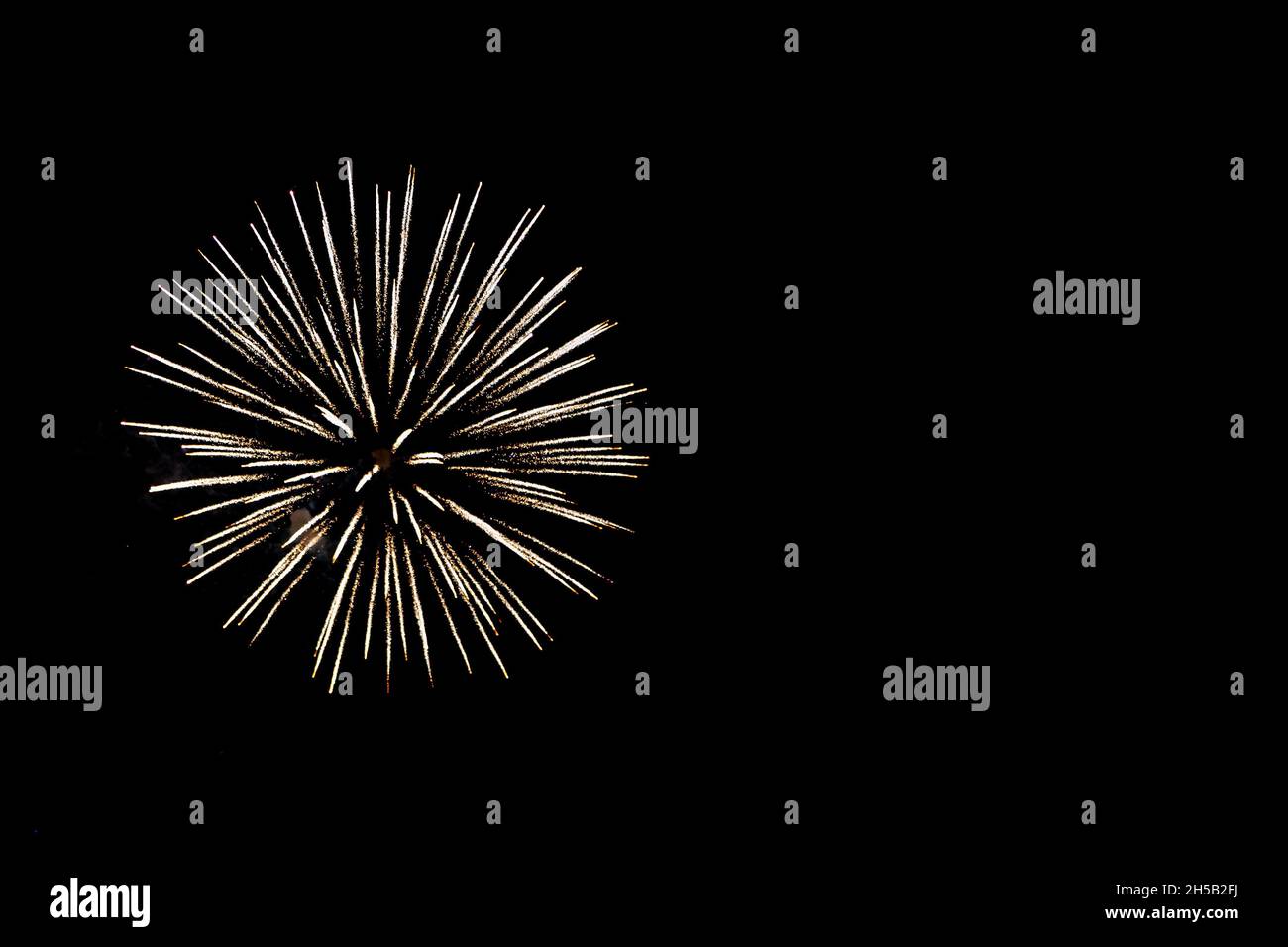 A firework exploding against a night sky Stock Photo