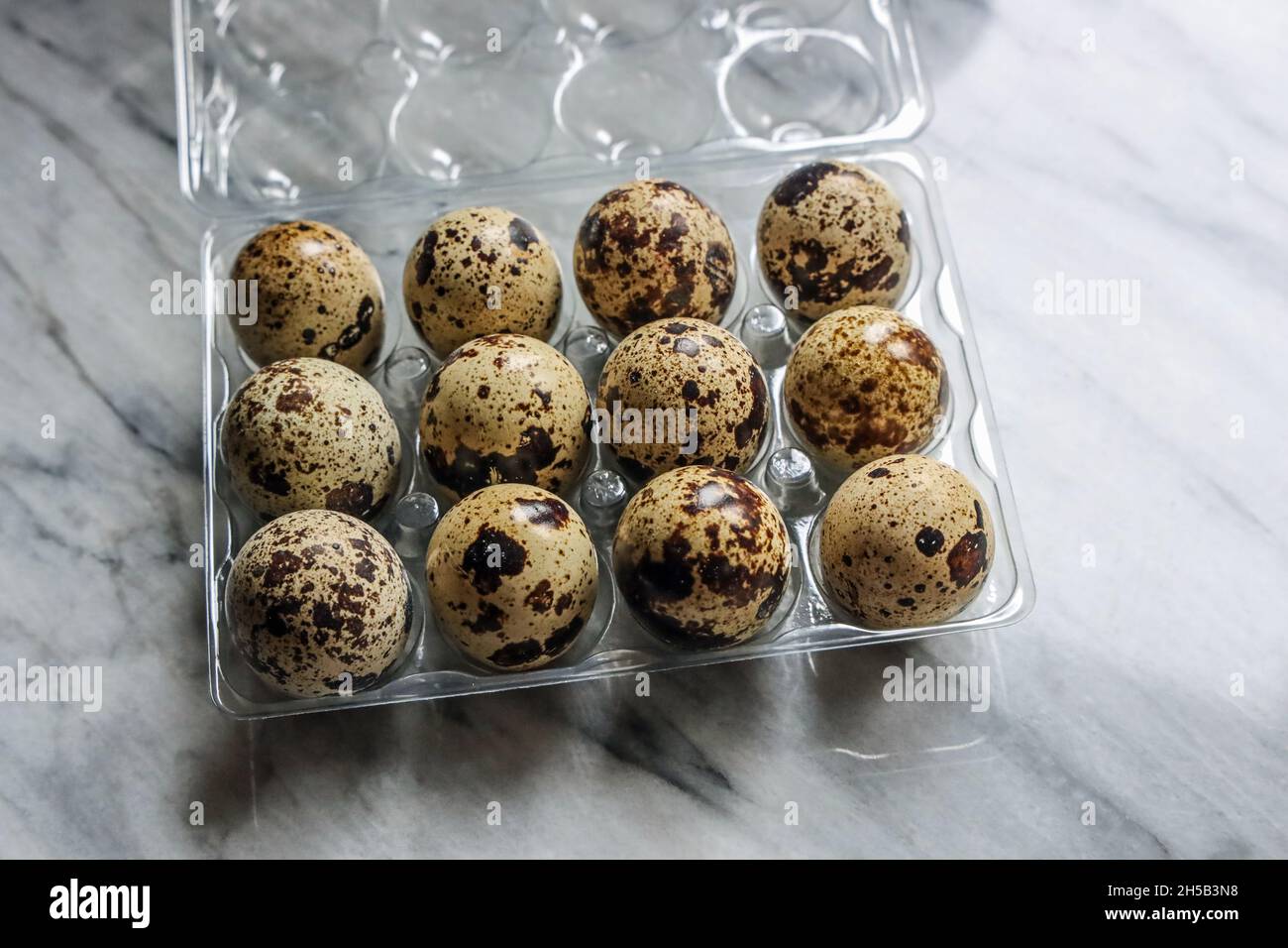 A dozen quails eggs in a plastic container on a marbled background Stock Photo