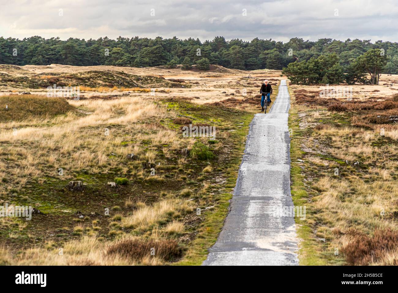 In the Hoge Veluwe National Park endless expanses and smart bike paths in a varied landscape