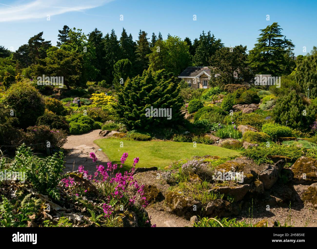 Flowers and plants in rock garden on sunny day, Royal Botanic garden, Edinburgh, Scotland, UK Stock Photo