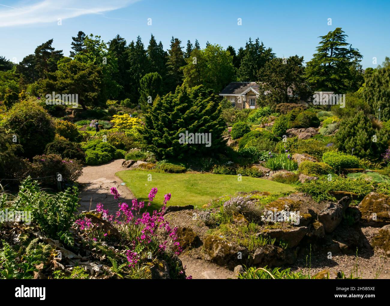 Flowers and plants in rock garden on sunny day, Royal Botanic garden