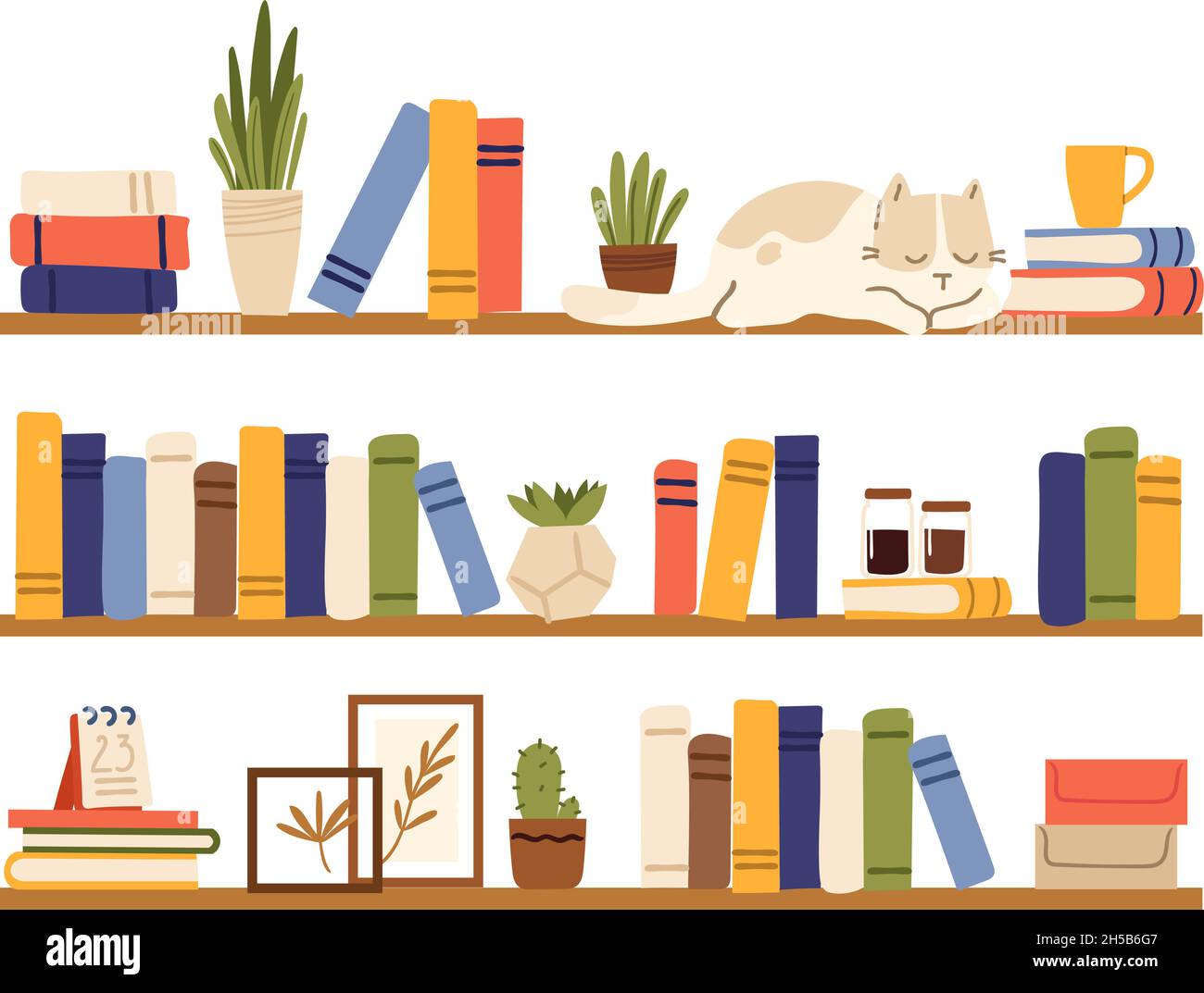 Book shelves. Rack books, interior bookshelf with cat, plants in pot and accessories. Isolated comfy scandinavian style home shelf, bookcase vector Stock Vector