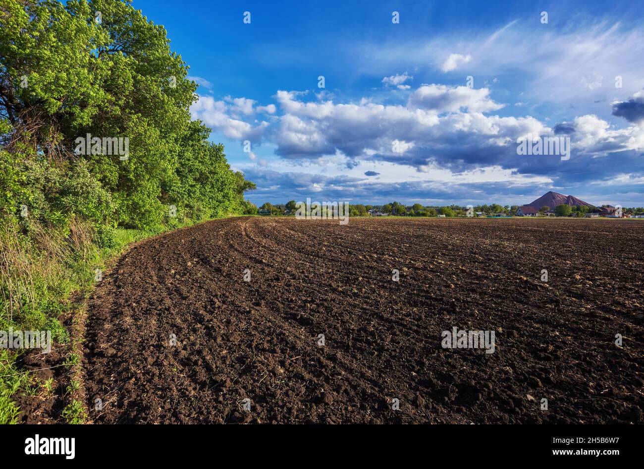 Texture of cultivated field and blue sky Stock Photo - Alamy