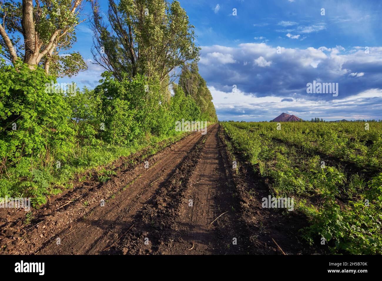 Summer landscape with green grass, road and clouds Stock Photo - Alamy