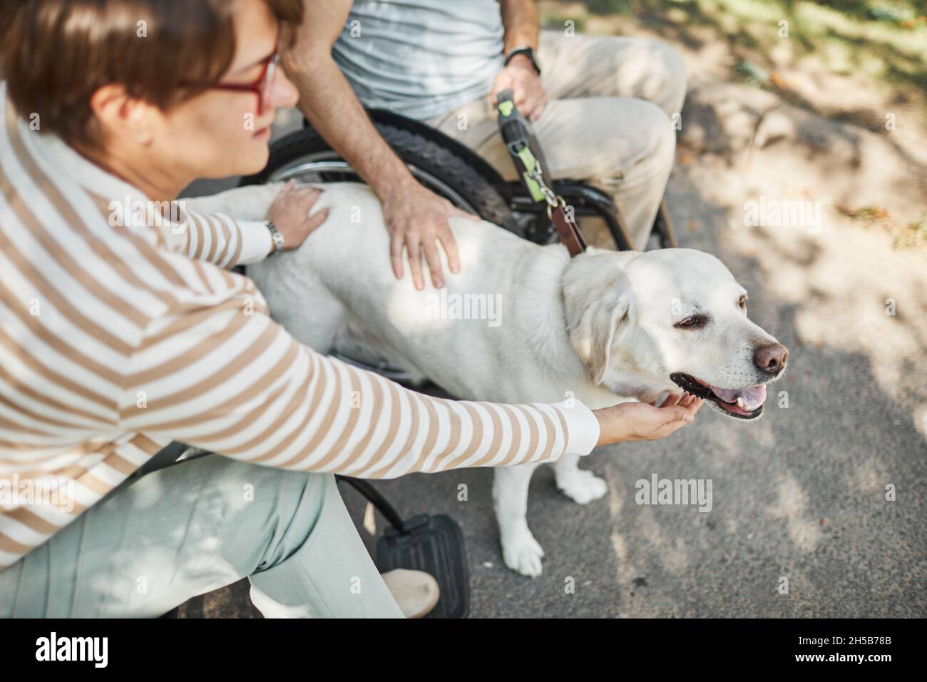 High angle of adult couple in wheelchairs petting dog in park outdoors