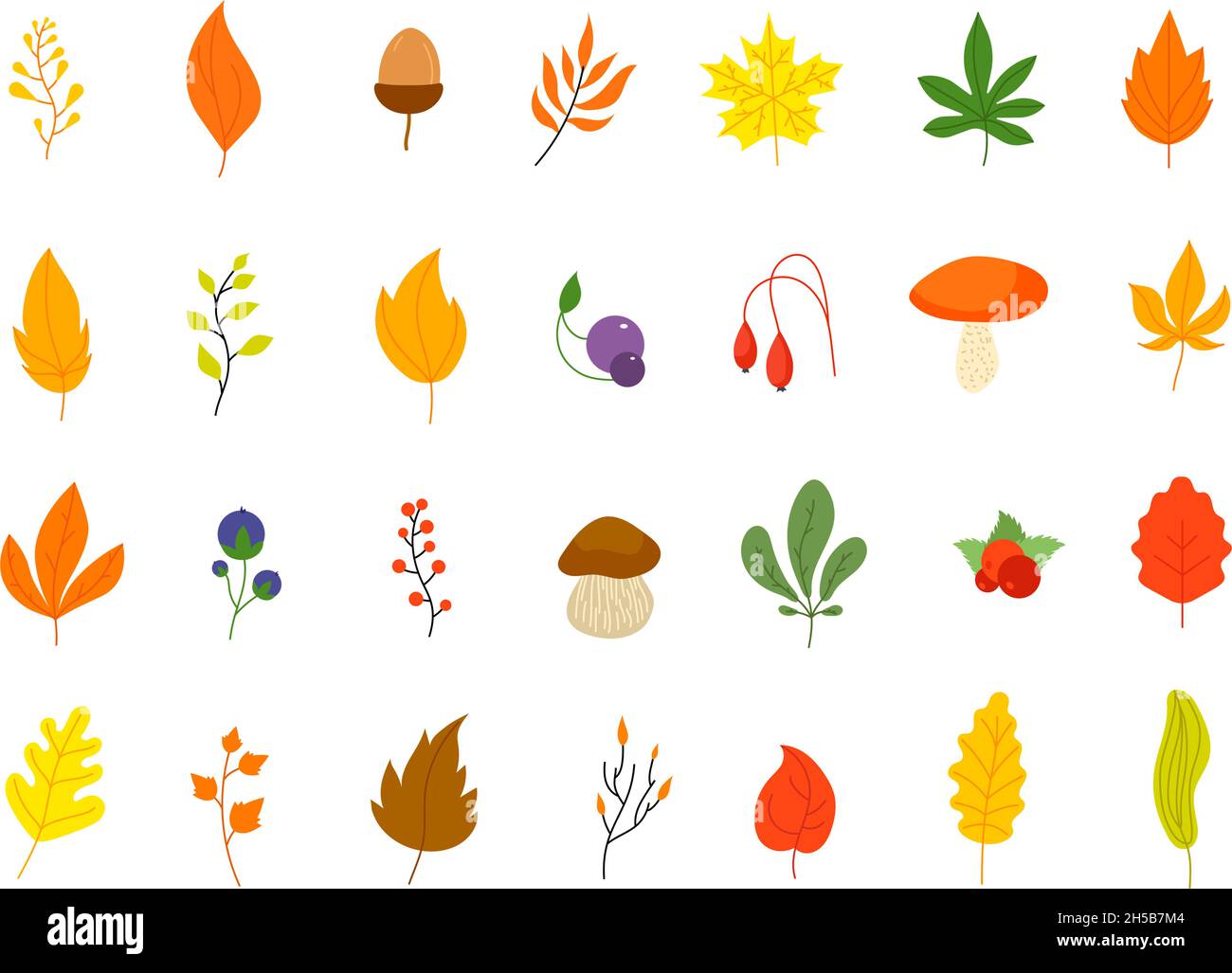 Flat autumn forest elements. Leaves berries icons, graphic leaf. Oak marple foliage. Acorn and rowan berry, thanksgiving fall utter vector set Stock Vector
