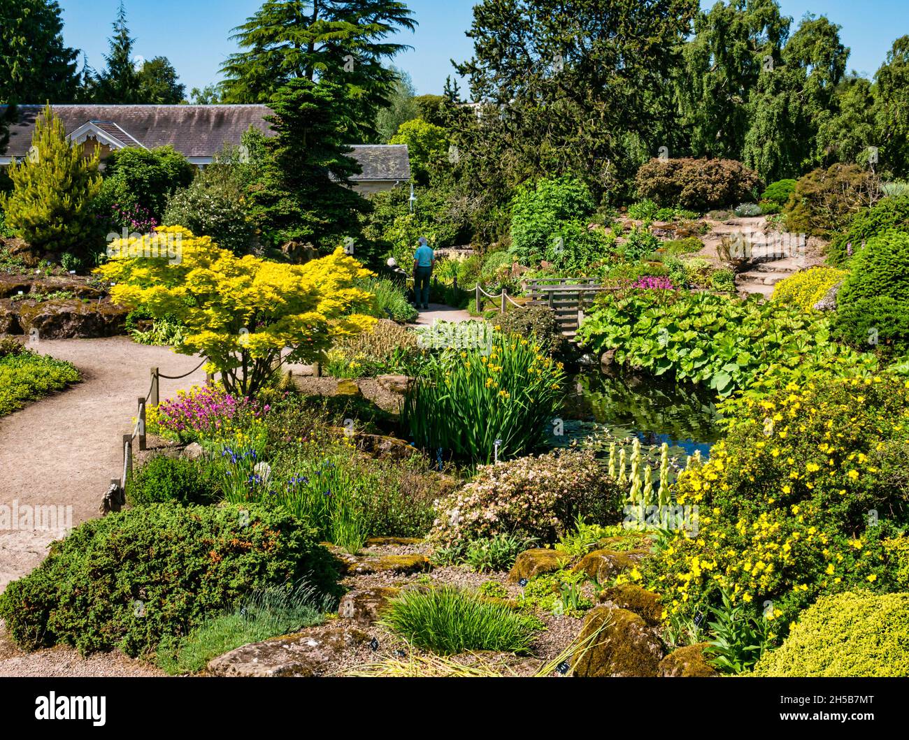 Flowers, plants and pond in rock garden on sunny day, Royal Botanic garden, Edinburgh, Scotland, UK Stock Photo
