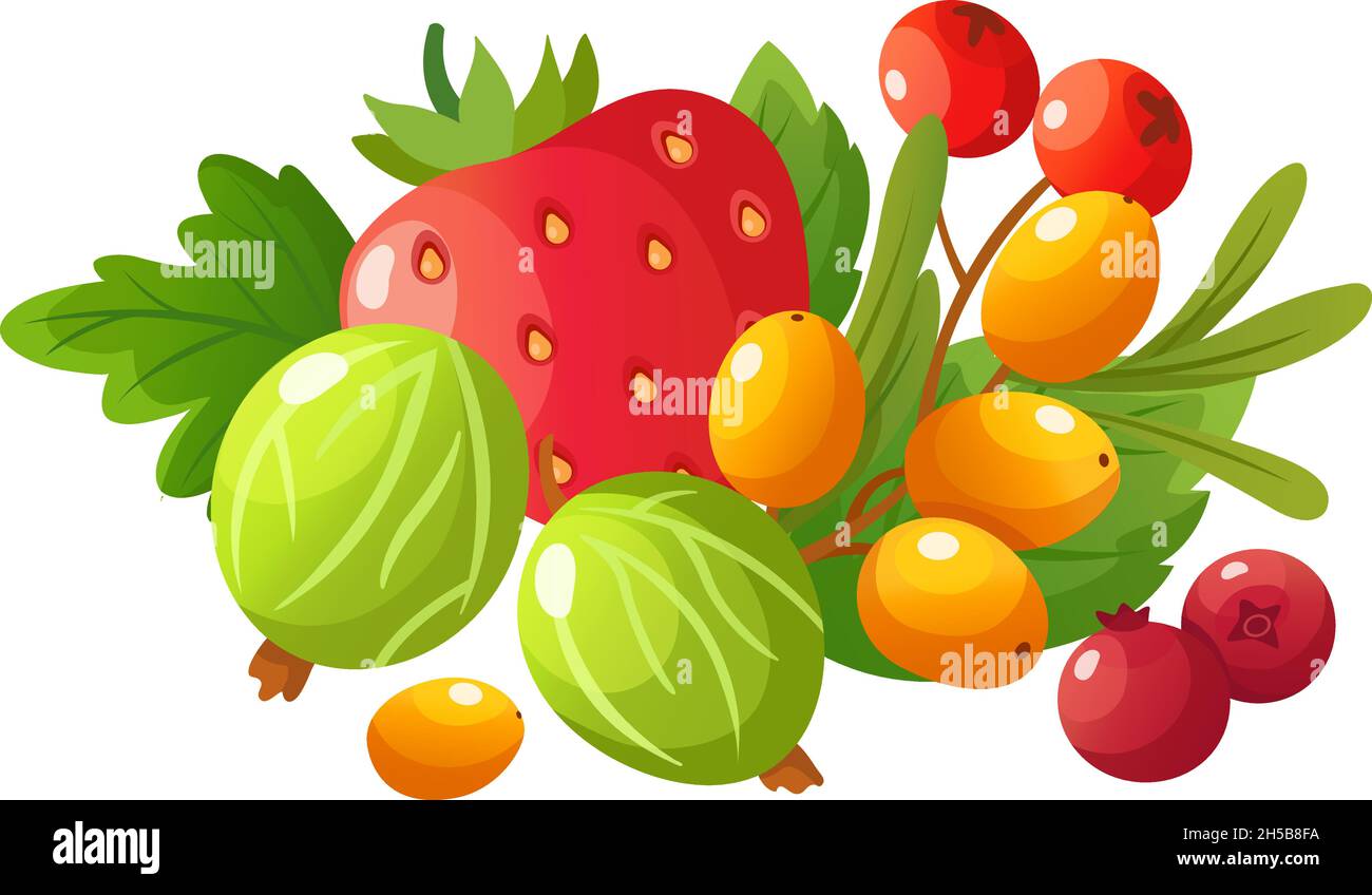 Cartoon Ripe Fruit Cartoon ripe berries. Gooseberry, red strawberry and fresh cranberry ...