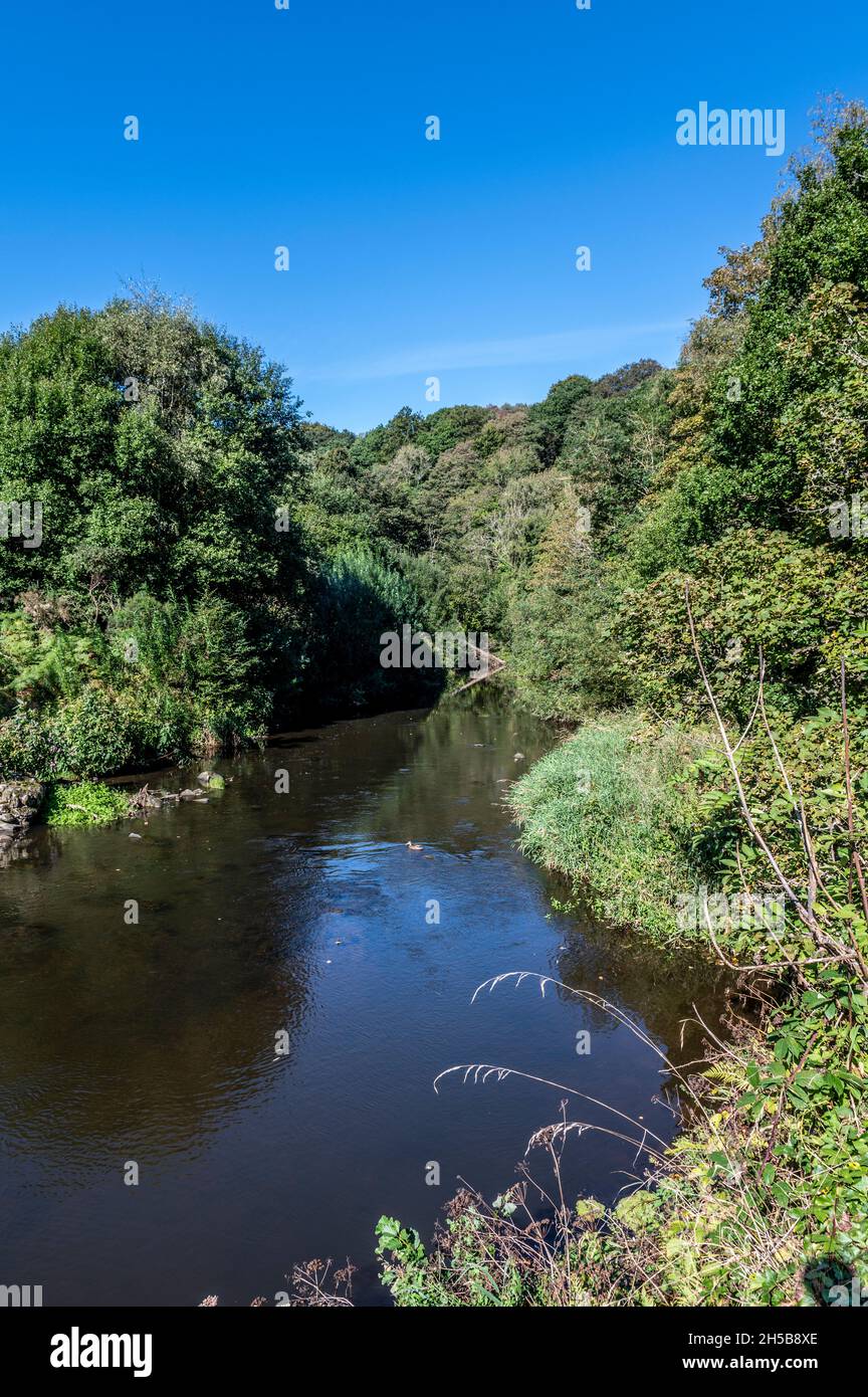 Derwent Walk country park, walking along the river Derwent Stock Photo Alamy