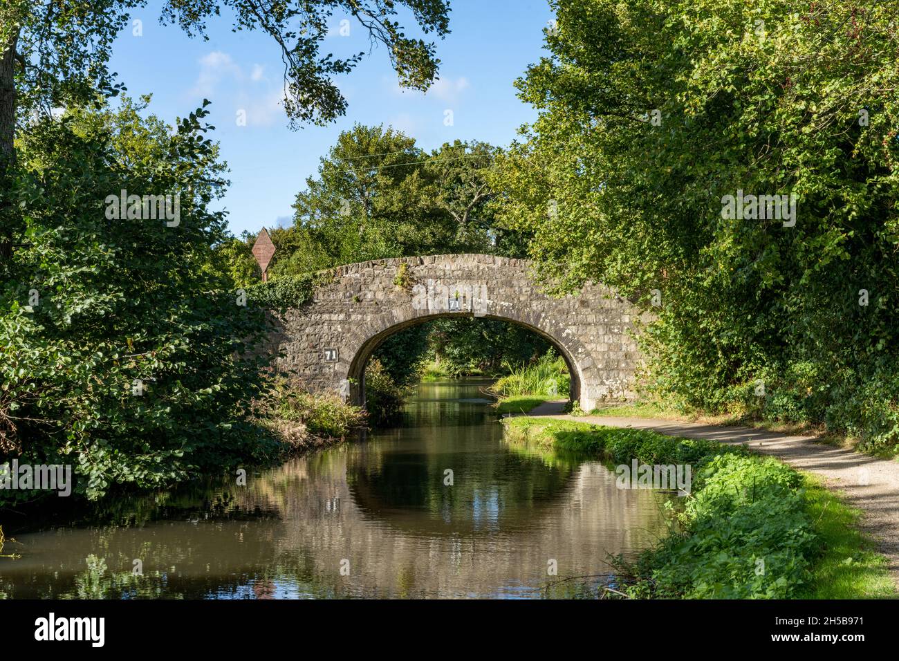 Summer's day at the Monmouthshire and Brecon Canal at LLanover, Monmouthshire, Wales UK Stock Photo