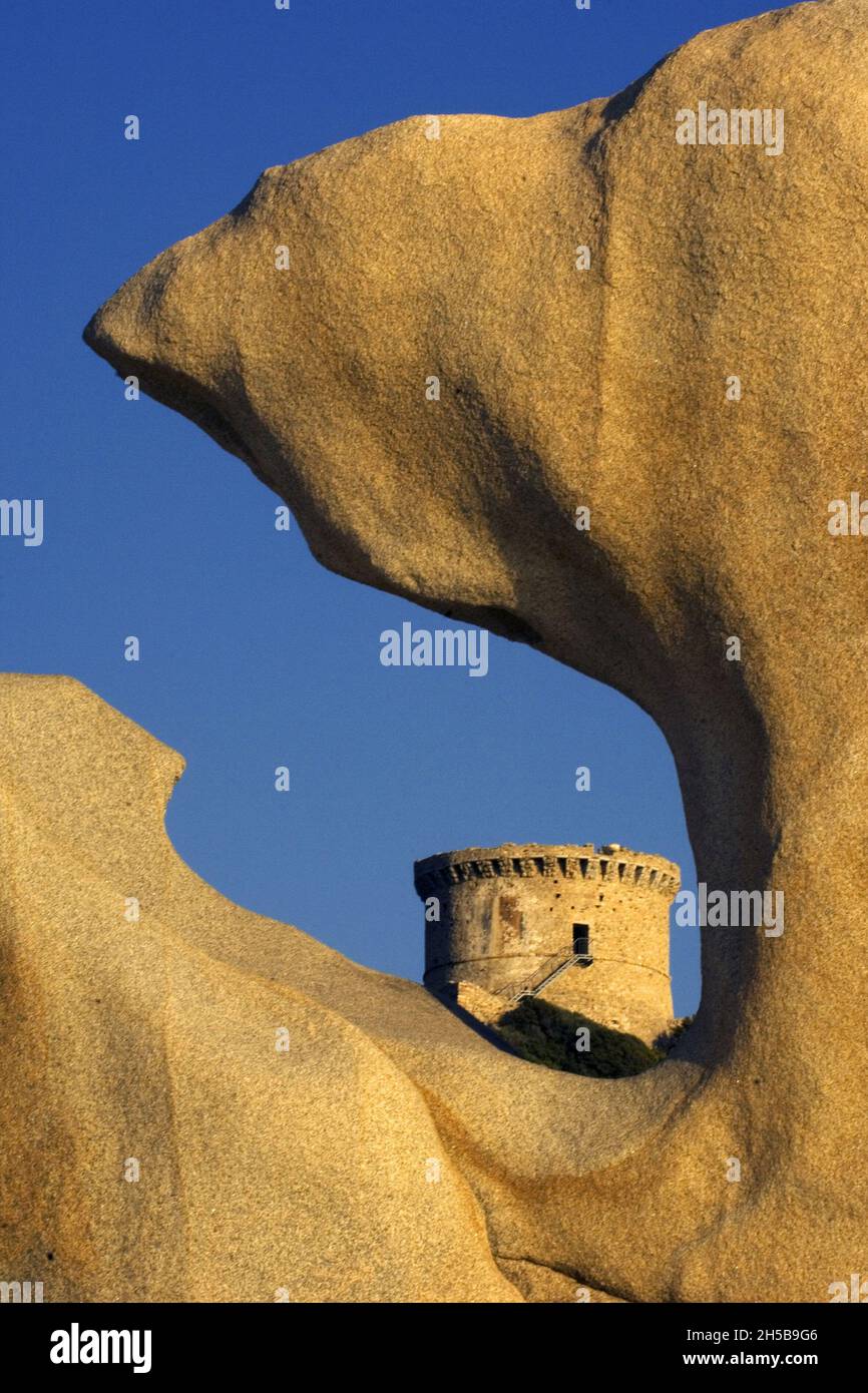 GENOESE TOWER, CAMPOMORO.CORSE-DU-SUD (2 A). FRANCE Stock Photo