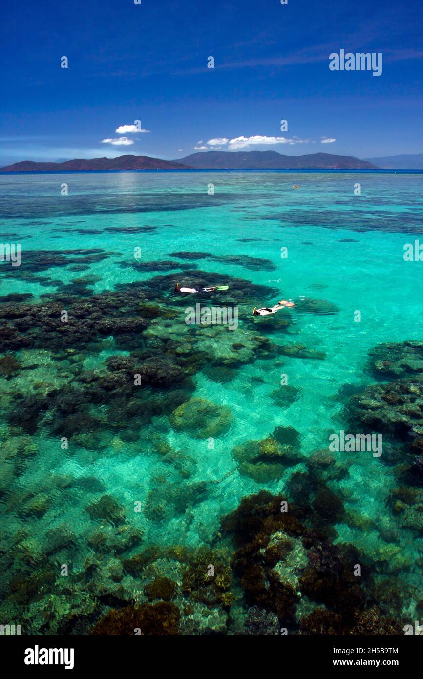 Australia, Great Barrier Reef, two people snorkeling in the water Stock Photo