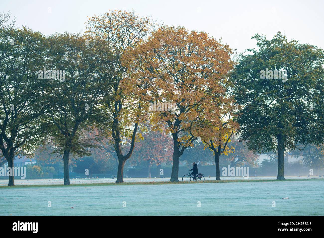 A morning mist in a park in Ilford, East London, as the temperature