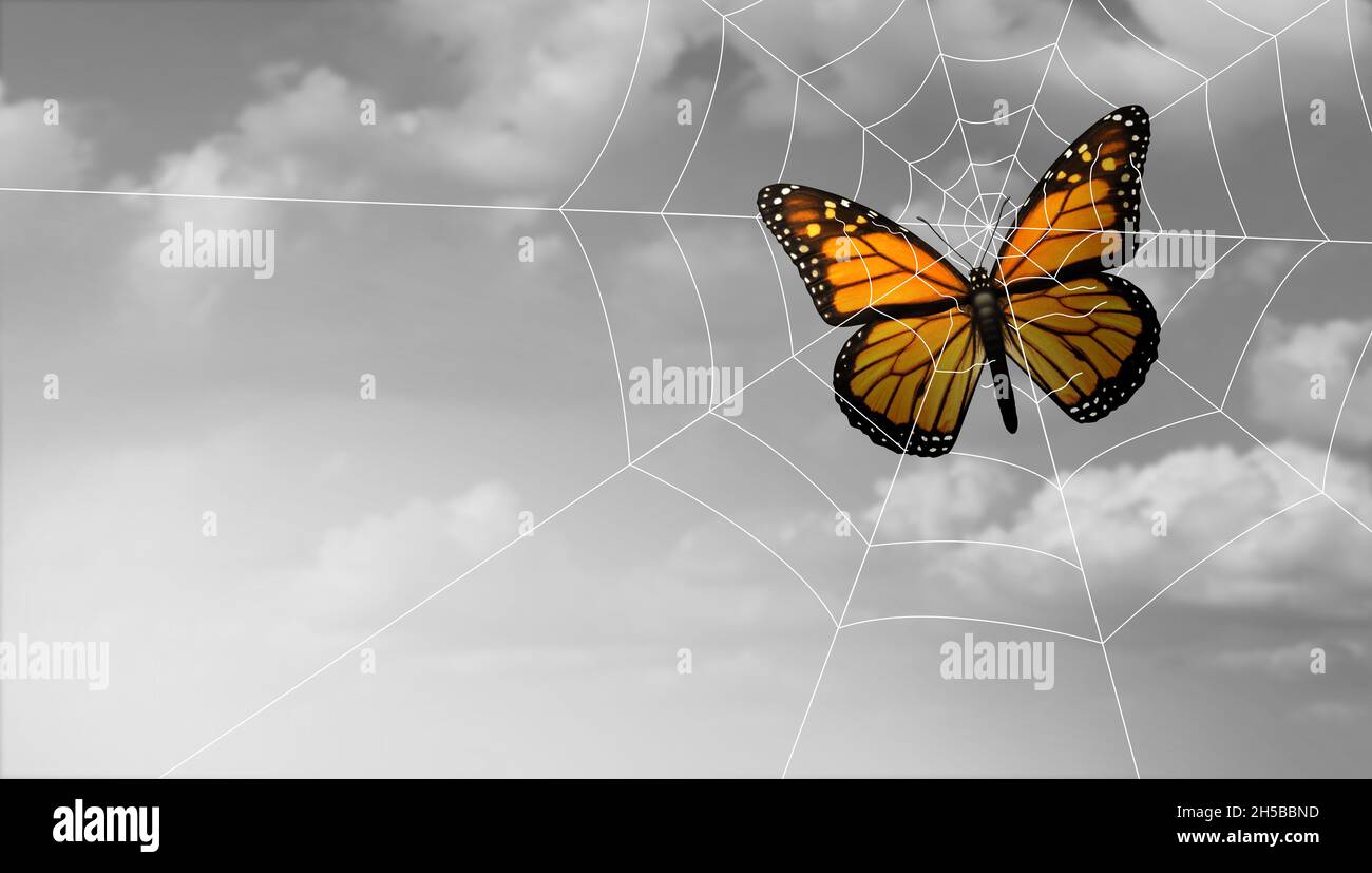 Conceptual trapped concept or Danger and risk as a business idea of feeling imprisoned and fear or despair as a butterfly caught in a spider web. Stock Photo