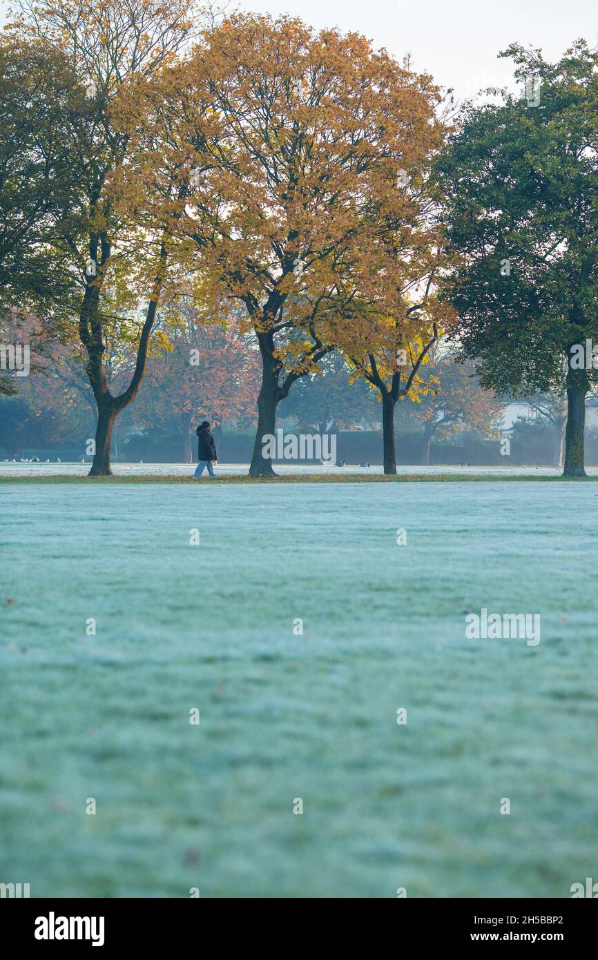 A morning mist in a park in Ilford, East London, as the temperature